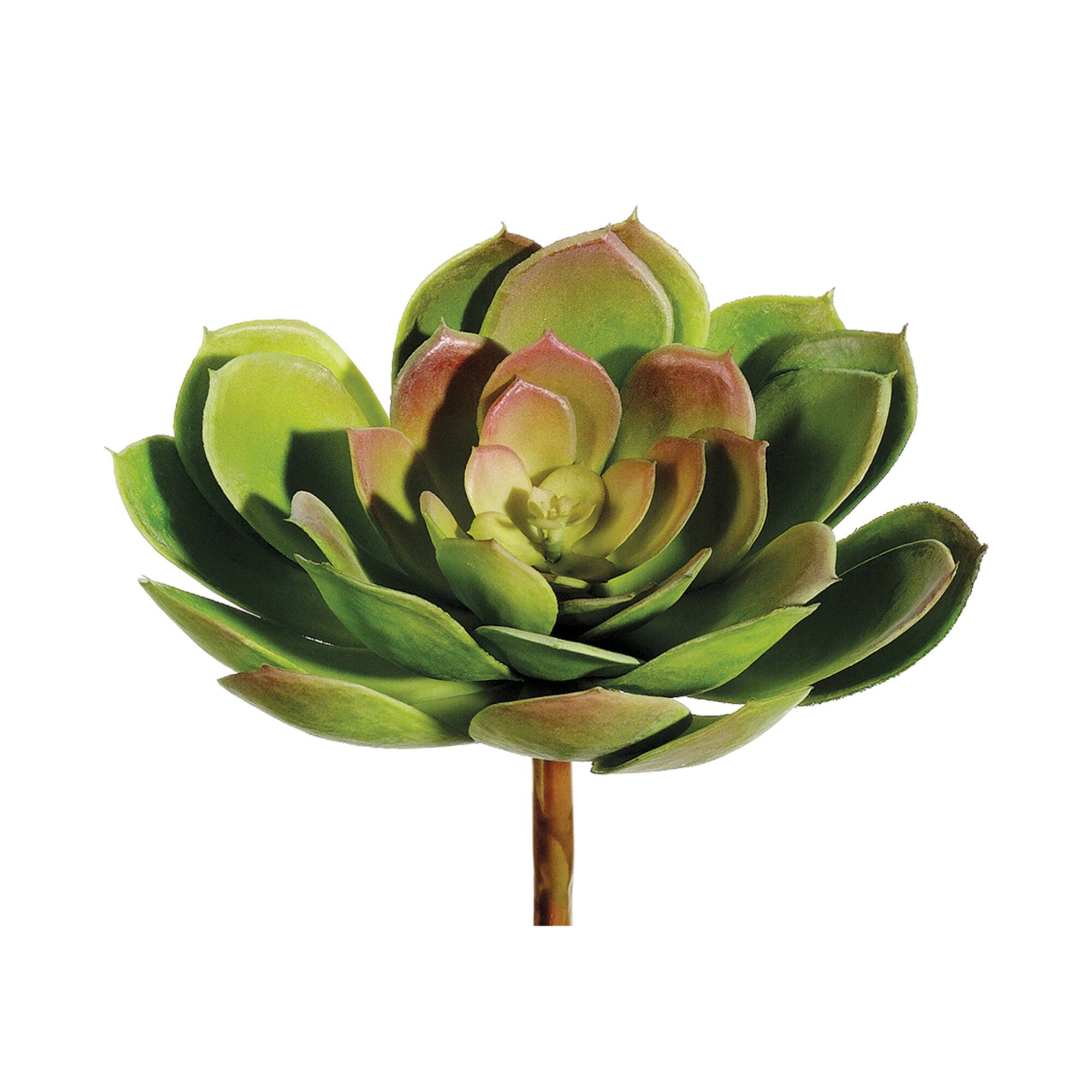 Green & Burgundy Soft Plastic Echeveria Pick